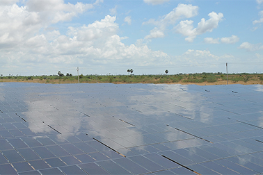 Thin Film Solar Farm