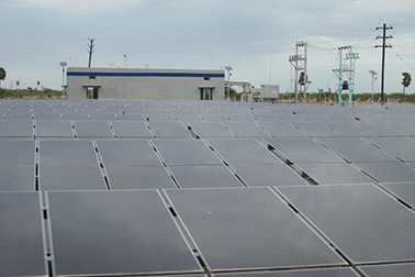 Solar Farm Panels